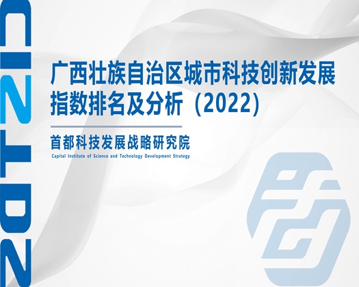 快用大鸡巴插我【成果发布】广西壮族自治区城市科技创新发展指数排名及分析（2022）